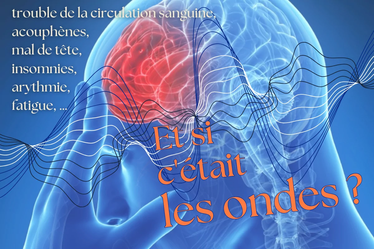 Bando Et si c’etait les ondes (site) Bando Et si c'etait les ondes (site)